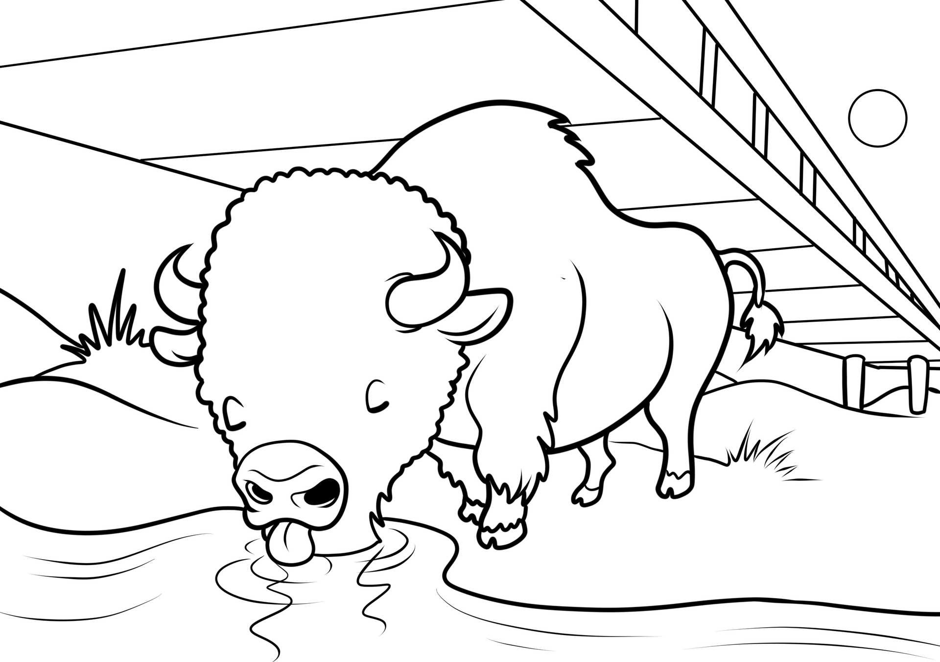 Denna bild föreställer en fridfull naturscen med en stor bisonoxe som dricker vatten och en rustik bro i bakgrunden.