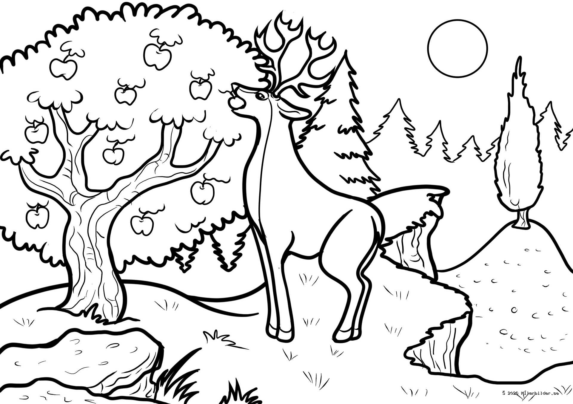 Utforska naturen med vår målarbild av en majestätisk hjort som äter äpplen i skogen. Perfekt för barn som älskar skogens djur och vilda djur.