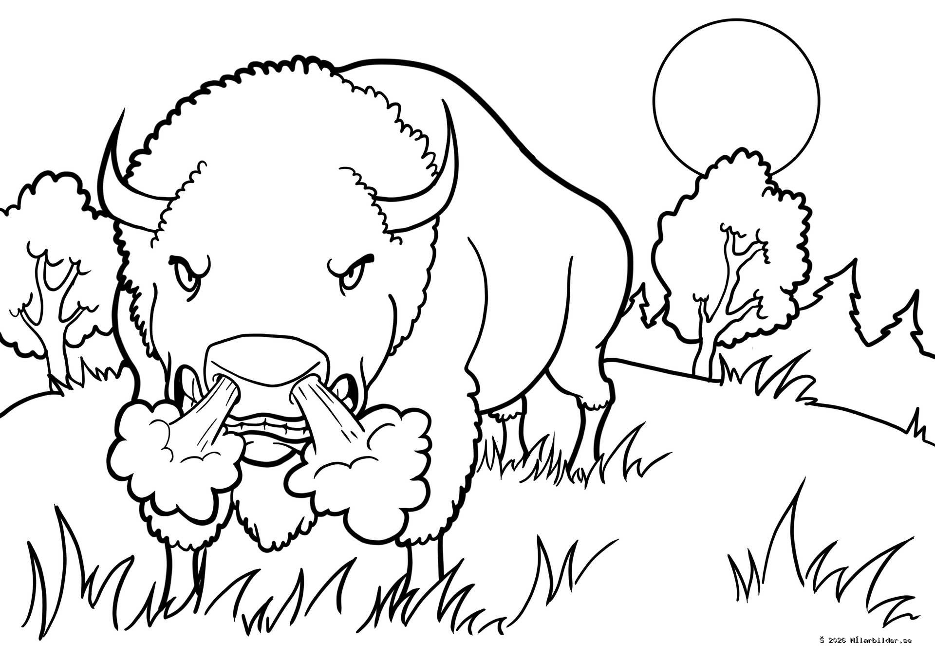 Utforska de vilda slätterna med vår målarbild på en mäktig buffel. Se den kraftfulla bisonoxen frusta ånga i ett vackert prärielandskap, perfekt för barn att färglägga.